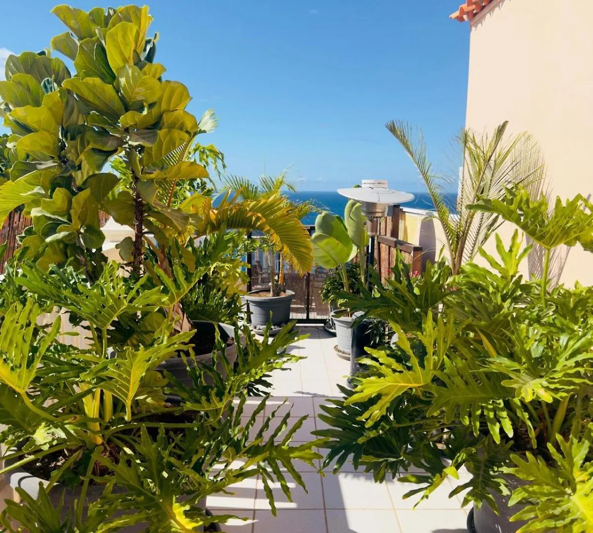 Los Gigantes Buenavista Ocean View Swimming Pool - Ac Acantilado de los Gigantes Apartment